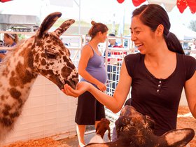 OC Fair 2015